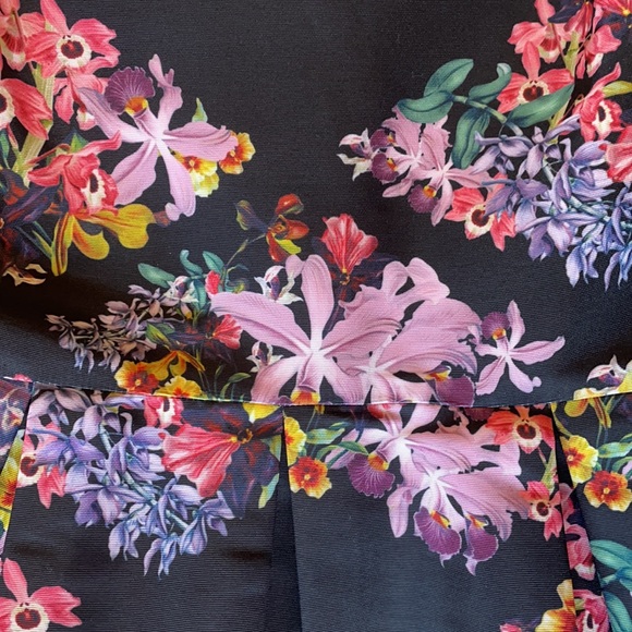 TED BAKER: Floral Decadence Skater Dress , NAVY - Picture 6 of 6